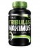 Tribulus Maximus 1500 mg від BioTech 90 tabs