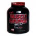 Muscle Infusion від Nutrex Research 907 грам